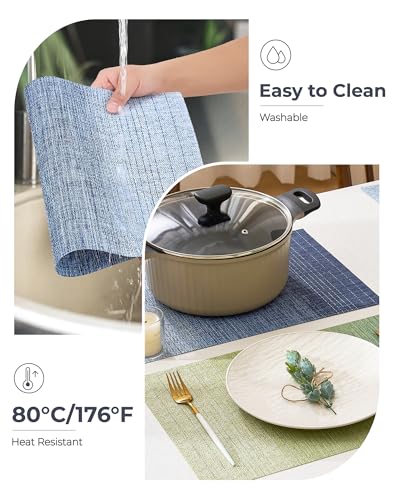 Gradient Blue Woven Placemats Set of 8 (3 Count)