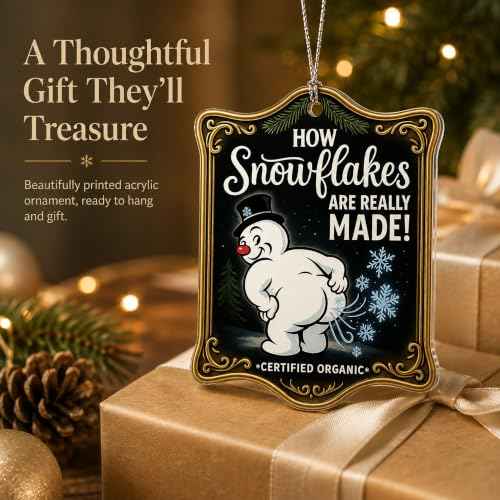 Snowflakes Funny Christmas Inappropriate Christmas Ornaments 2026