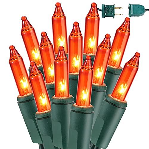 Orange Halloween Lights 300 Count 69.6ft Incandescent Light String (69.6 Foot)