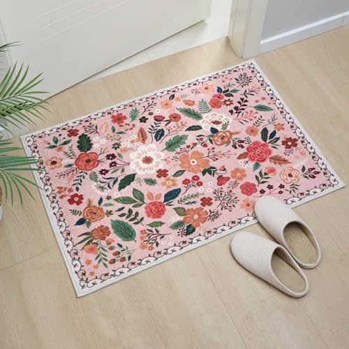 Door Mat 2x3 Area Rug Washable