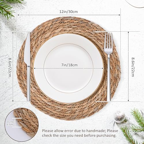 Defined Deco Woven Placemats Set of 10 (10 Count)