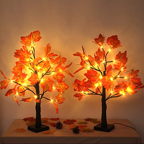 2 Pack Lighted Maple Tree 20 Inch 48LED Fall Artificial Tree for Thanksgiving Harvest Indoor Decoration (2 Count)