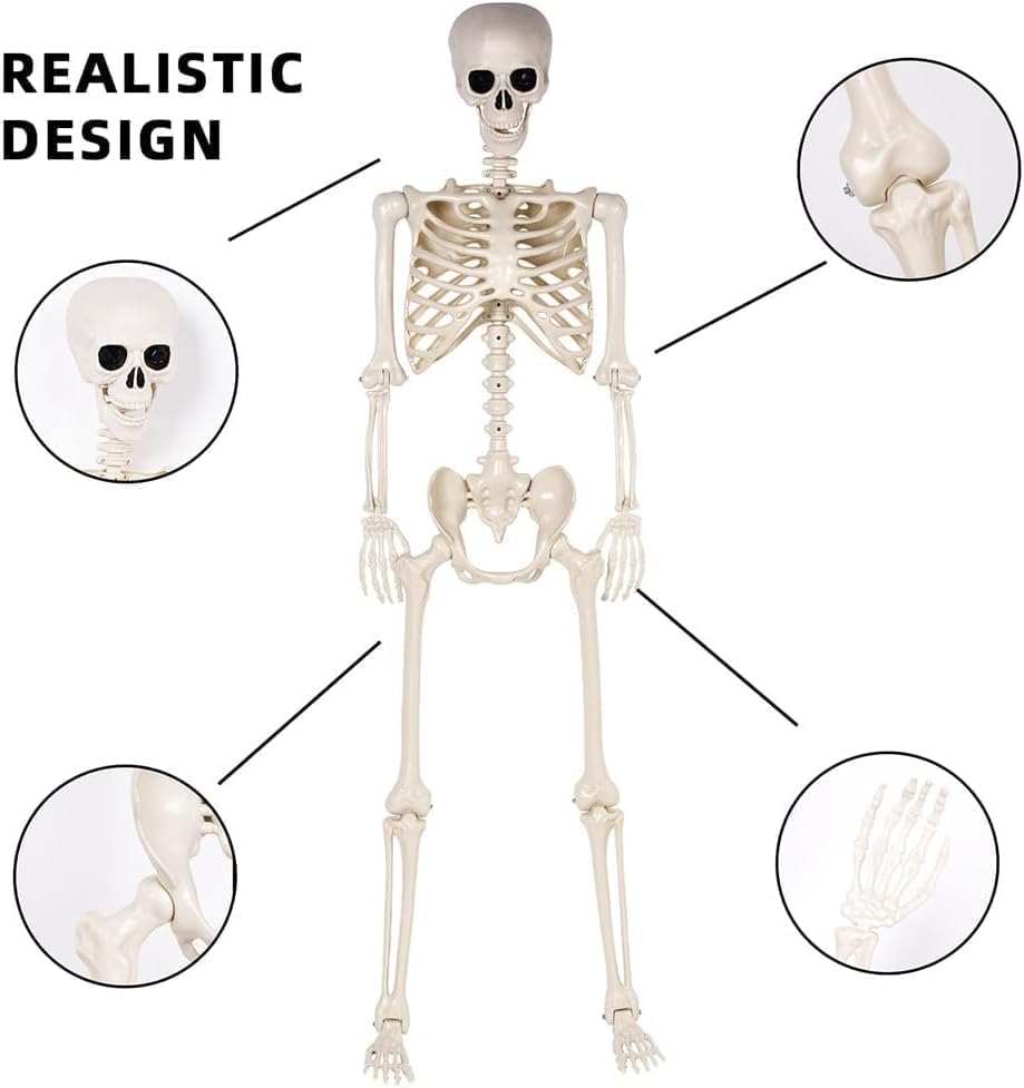 4 Pack 36" Halloween Skeleton