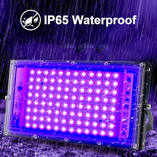 2 Pack 100W UV Black Light (2 Count)