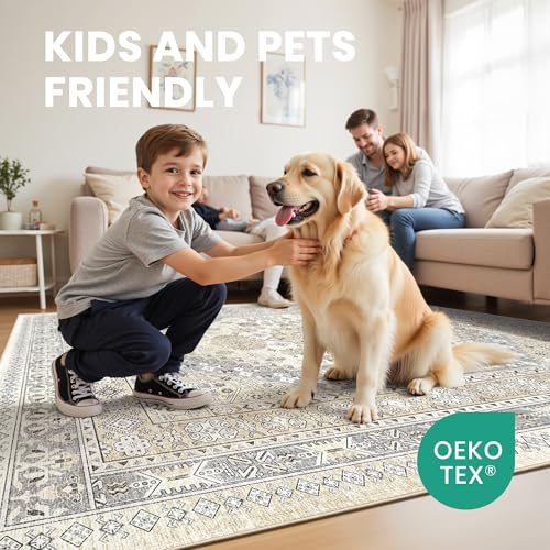 10x14 Area Rugs for Living Room