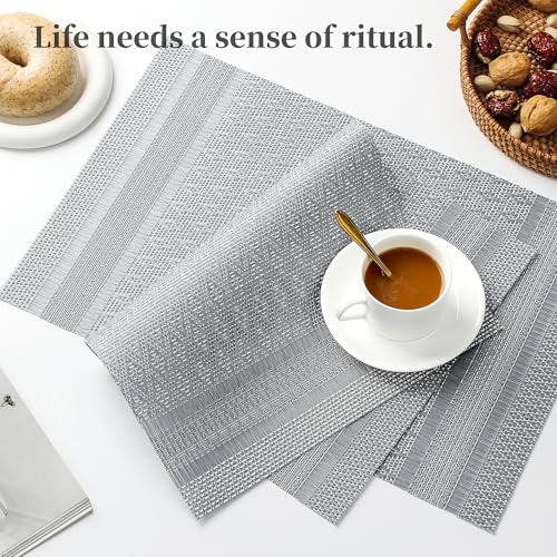 Lunar Grey Placemats Set of 8 (8 Count)