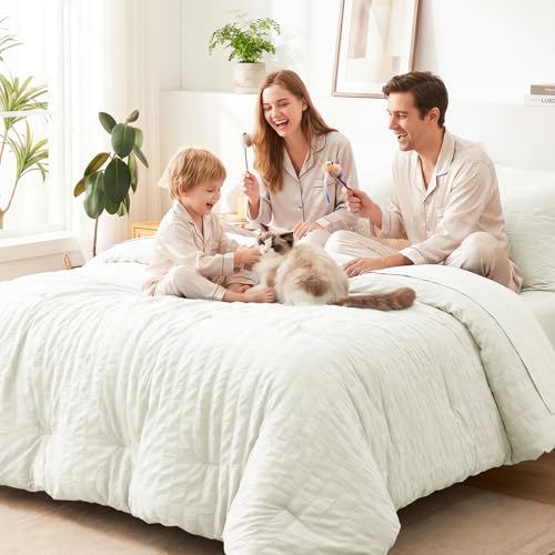Queen Comforter Set