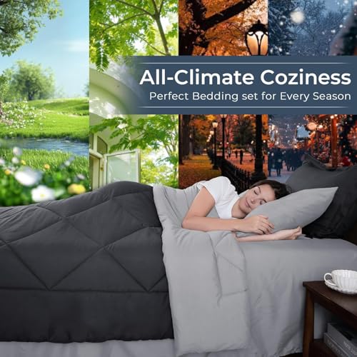 7 Piece Oversized Queen Comforter Set