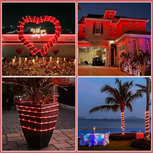 66FT 200 LED Rope Lights for Outside