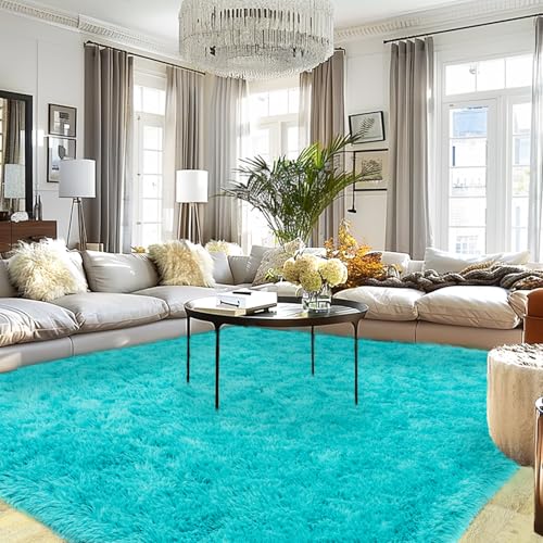 Extra Large Fluffy Area Rug for Bedroom Living Room