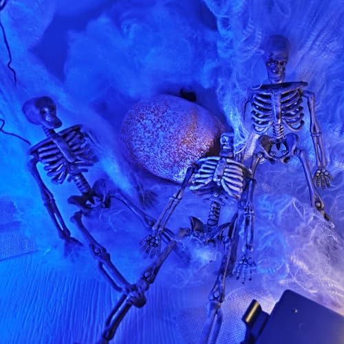 16Pcs 6" Halloween Mini Plastic Skeleton Figurines Decorations Set (16 Count)
