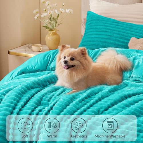 Fleece Queen Comforter Set