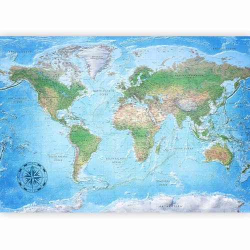 Wall Mural World Map 98x69 in (47.14 Sq Ft)