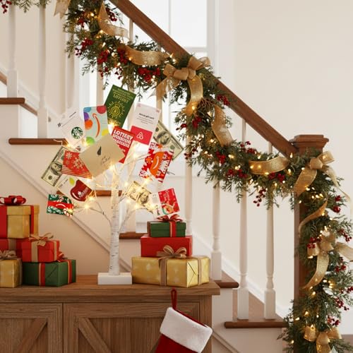 Money Tree Gift Holder