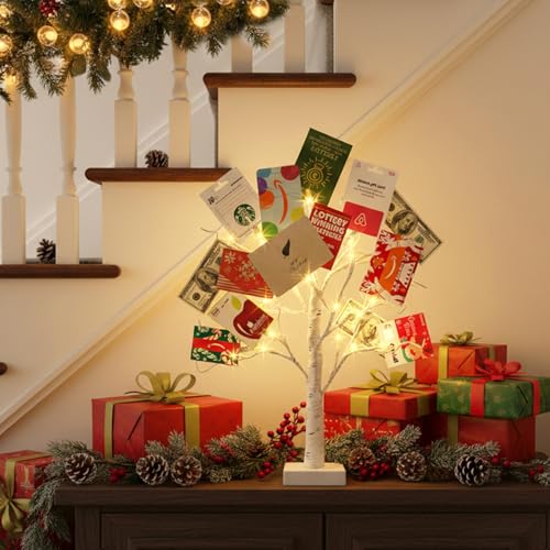 Money Tree Gift Holder