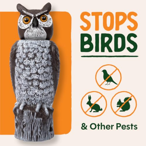 Large Rotating Head Fake Owl Decoy to Scare Birds Away