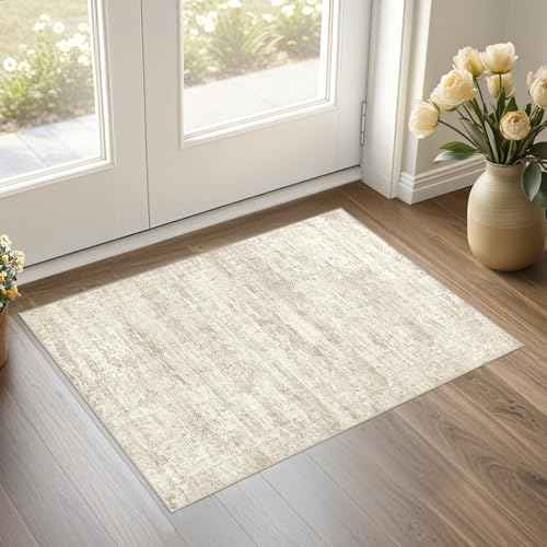 2x3 Entryway Area Rug