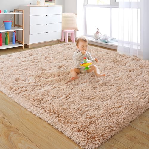 Fluffy Rug for Living Room Bedroom