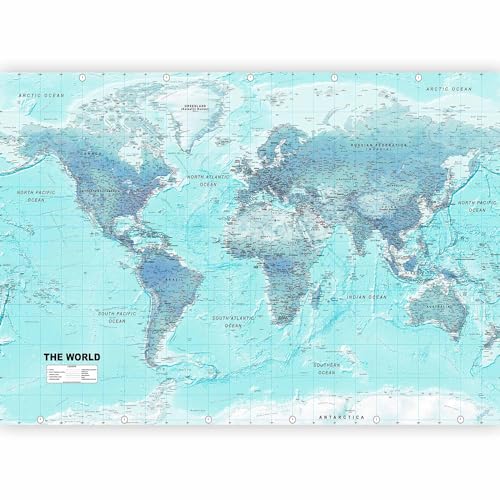 Wall Mural World Map 173x124 in (149.51 Sq Ft)