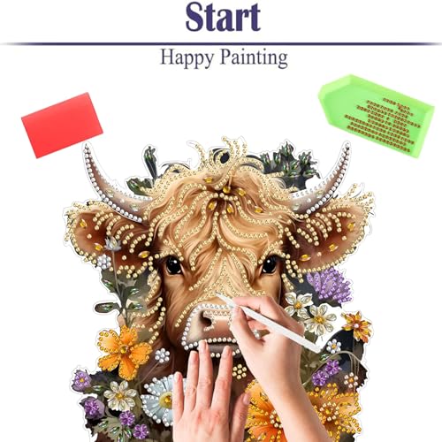 Diamond Painting Kits for Adults Beginners