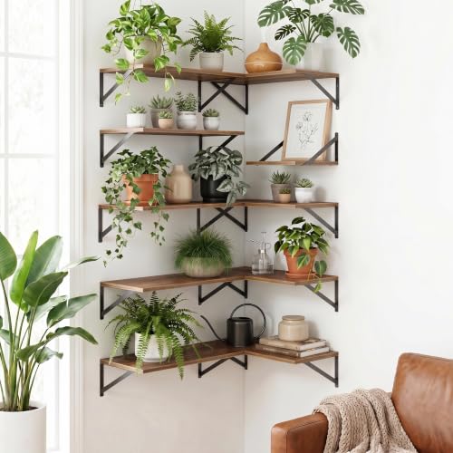 Floating Shelves 16 Inch Long