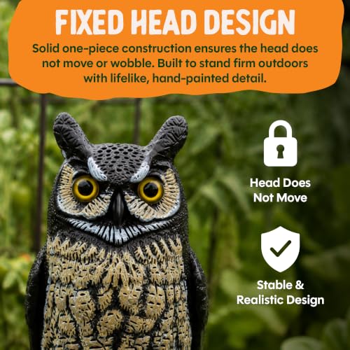 Lifelike Great Horned Owl Decoy Bird Repellent