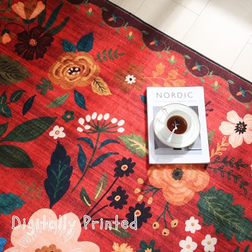 Door Mat 2x3 Area Rug Washable