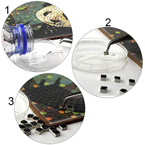 Complete Mosaic Kits for Adults