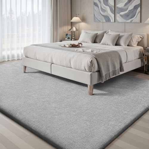 Area Rugs 9x12 for Living Room Bedroom