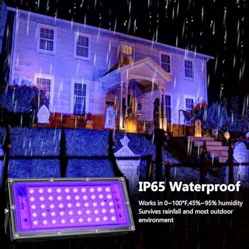 4 Pack 50W Black Lights (4 Count)