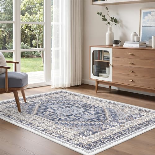 4x6 Area Rug for Entryway (10.7639 Sq Ft)