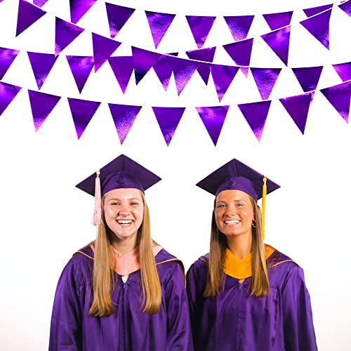 Purple Party Decorations Triangle Pennant Banner Flag Dark Purple Metallic Fabric Bunting Garland for Graduation Wedding Bridal Shower Birthday Anniversary Holiday Halloween Disco Party Supplies (36 Count)