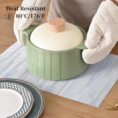 LightSteel Blue Placemats Set of 8 (8 Count)