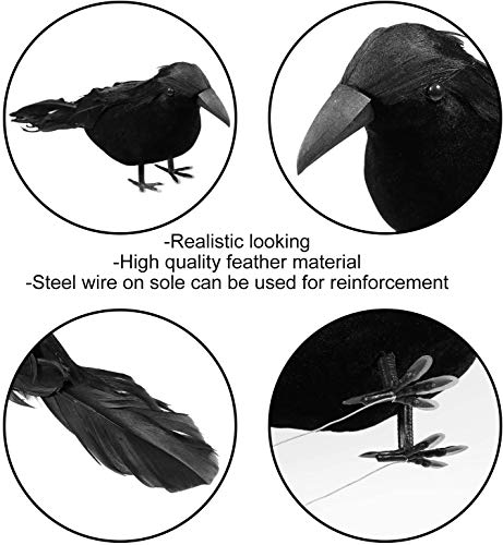 6 Pack Halloween Black Feathered Crows