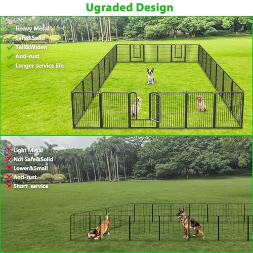 Decorative Black Metal Fencing Garden Fence with Gate