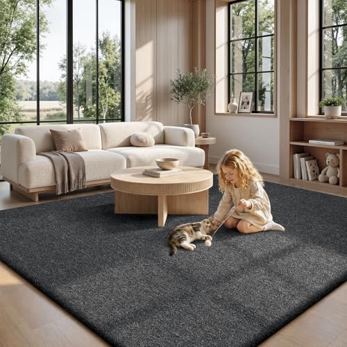 10x14 Area Rugs for Living Room Bedroom