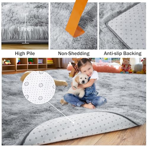 Rugs for Living Room (24 Sq Ft)
