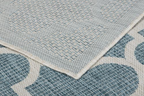 Outdoor Indoor Area Rug