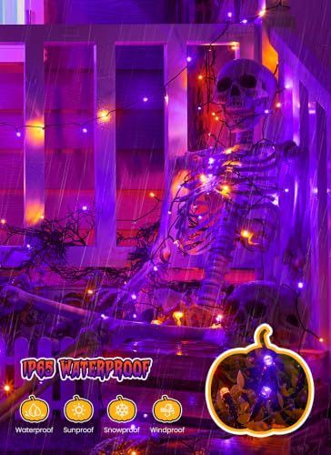 Solar Halloween String Lights Outdoor (288 Foot)