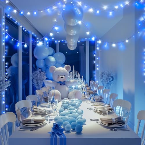400 LED Blue and White Christmas Lights Indoor Outdoor with Remore (132 Foot)