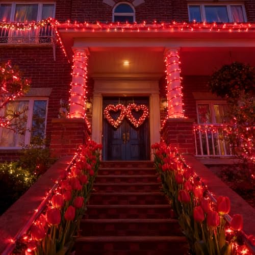 Valentine's Day Red Lights (300 Count)