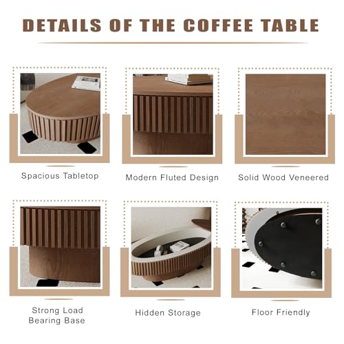 Oval Coffee Table with Storage Modern Coffee Table with Solid Wood Veneered