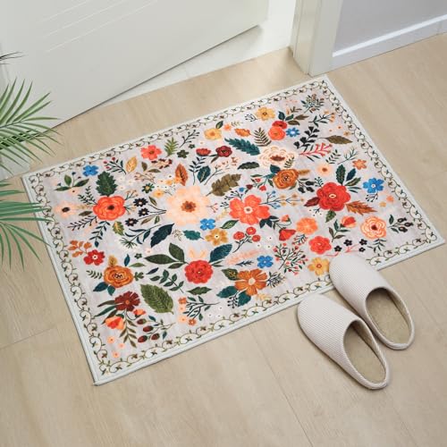 Door Mat 2x3 Area Rug Washable