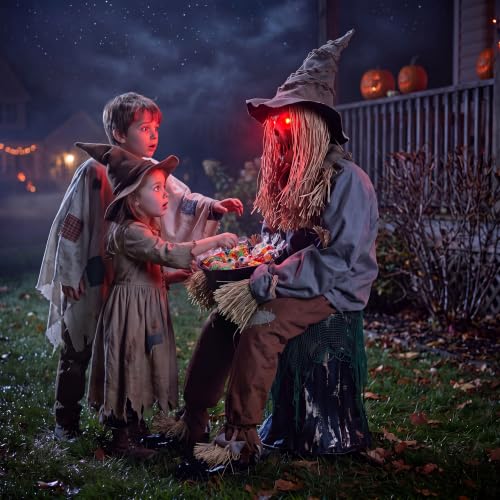 49" Halloween Animatronic Sitting Scarecrow