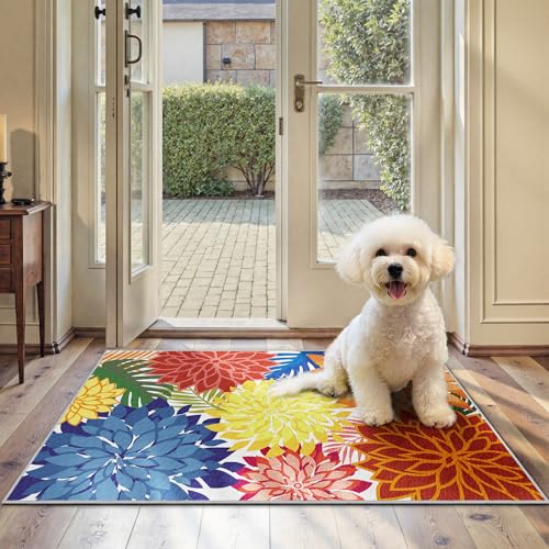 Outdoor Rug Waterproof (6 Sq Ft)