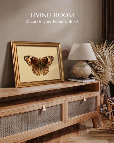 Gold Framed Vintage Butterfly Wall Art