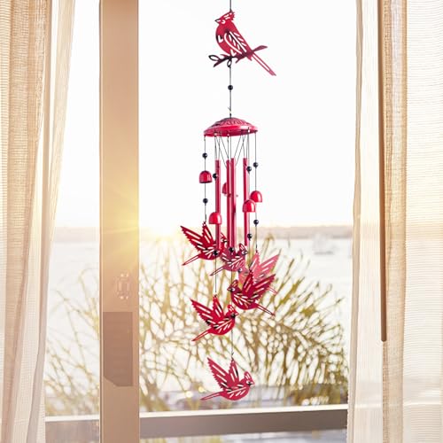 Cardinal for Women