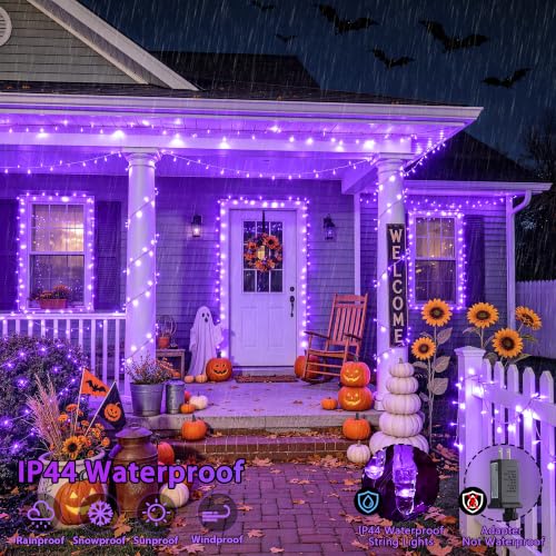 200 LED Purple String Lights Indoor Outdoor Clear Wire (66 Foot)