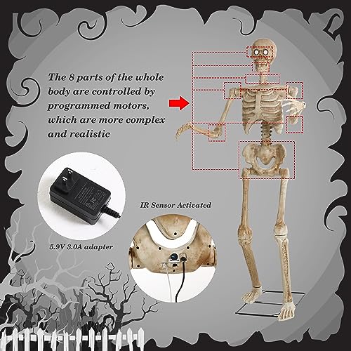 5.3 ft Halloween Skeleton with LED Glowing Eyes