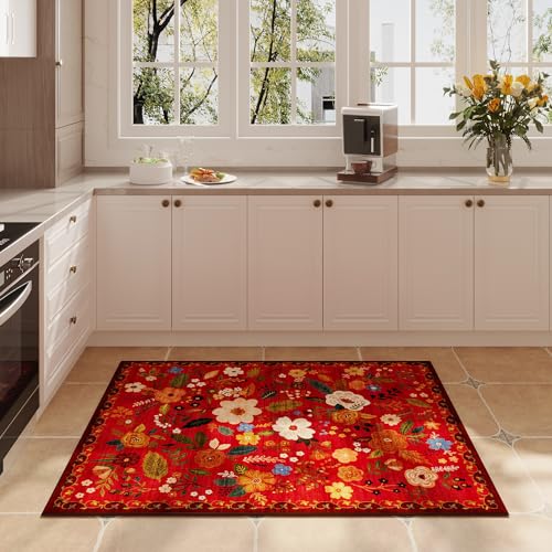 Door Mat 2x3 Area Rug Washable